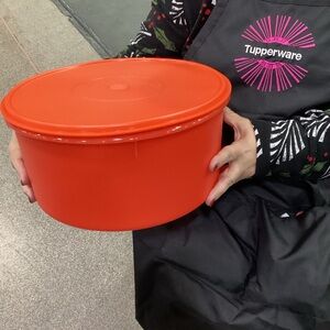 Tupperware Giant Cookie Canister - capacity of 43 cups!